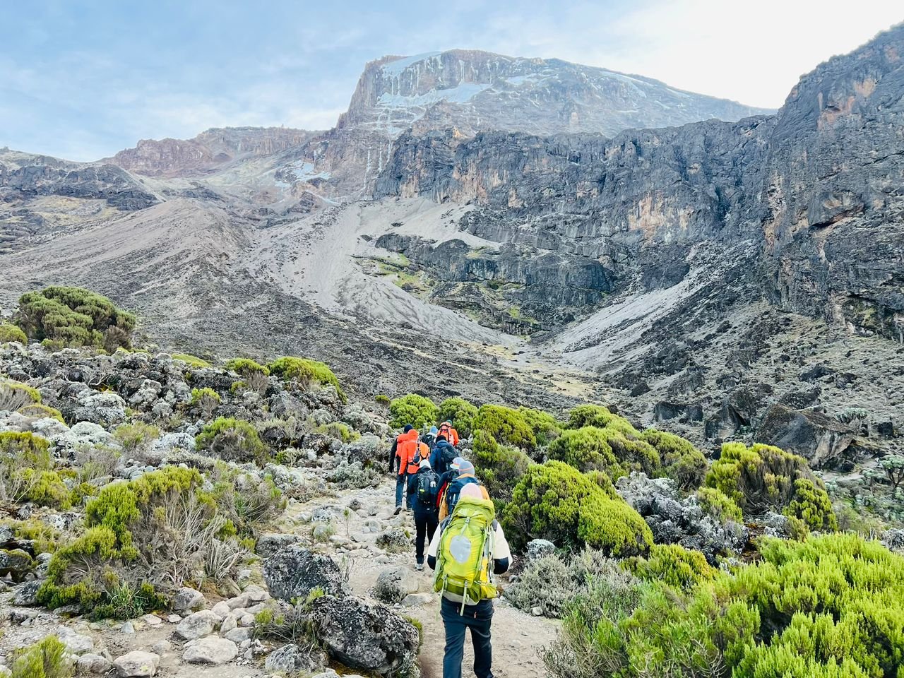 Seven-day Northern Circuit Route trek on Mount Kilimanjaro