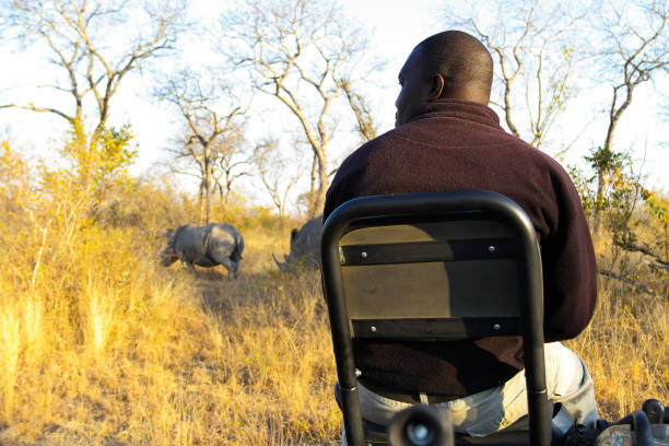 6-Day Accessible Safari — Wheelchair-Friendly Lodges & Vehicles 2026–2027