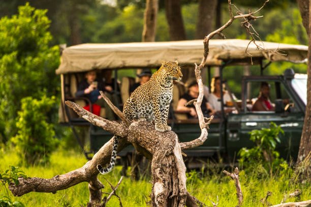  Africa Expedition Logistics Explained 2026–2027 