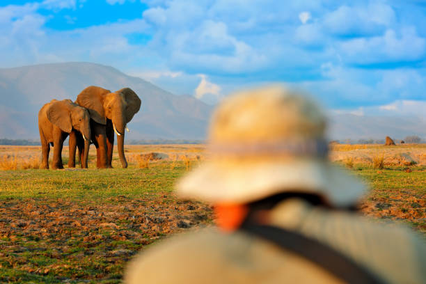  Africa National Park Expedition Routes 2026–2027 