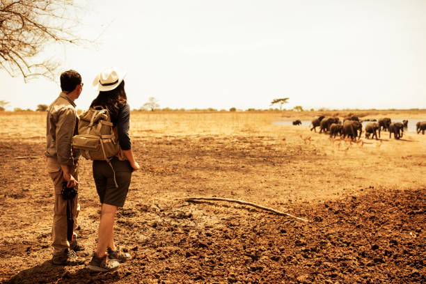  Budget Africa Adventure Journeys 2026–2027