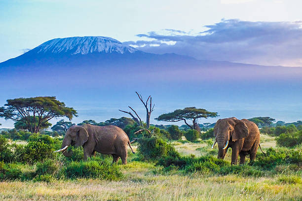   Custom-Made Vacations in East Africa 2026–2027 