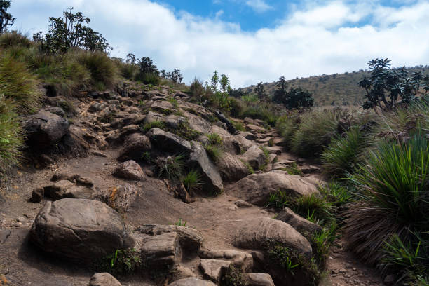   Lemosho Route Cost 2026–2027 