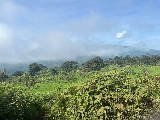   Lemosho Route Special Discount 2026–2027 