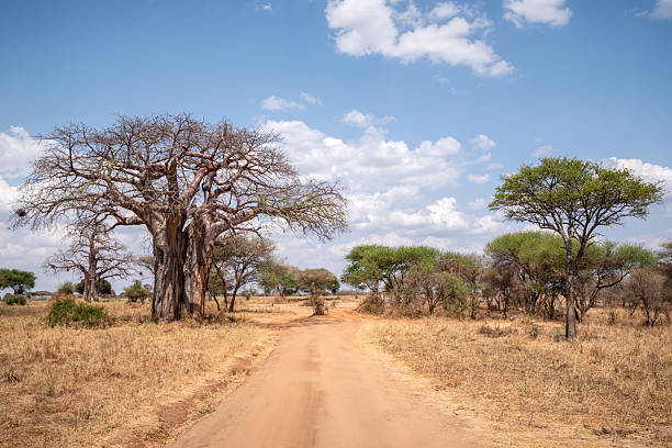   Pan–East Africa Transport Routes 2026–2027 