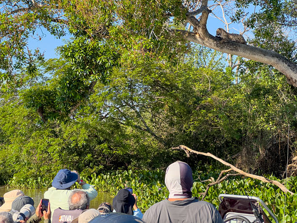   Responsible Wildlife Expeditions 2026–2027 