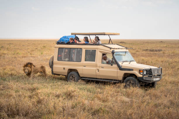   Safari Adventures by Road and Air 2026–2027 