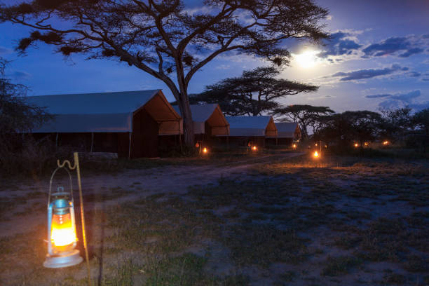   Serengeti South Mobile Camps 2026–2027 