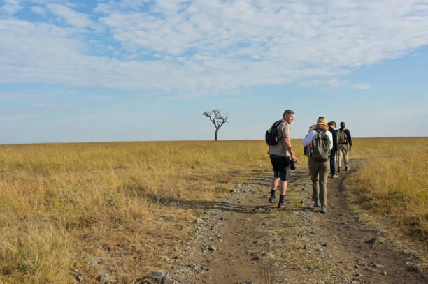   Tracking and Walking Safari Adventures 2026–2027 