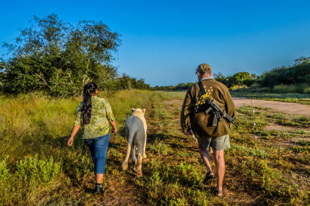   Walking Safari Holidays in East Africa 2026–2027 