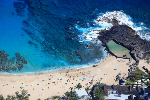  1-Day Whale-Shark Snorkel Excursion (Seasonal) 2026–2027