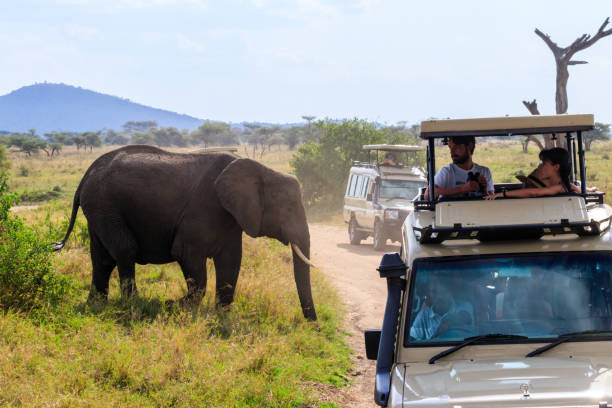   Budget Tanzania Safari from India 2026–2027 