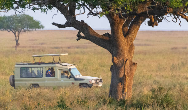   Custom Tanzania Safari Itinerary 2026–2027 