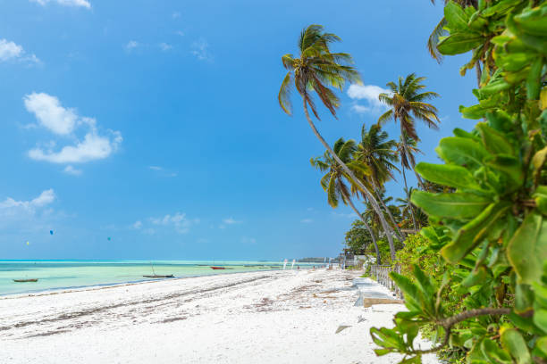  Zanzibar All-Inclusive Holiday 
